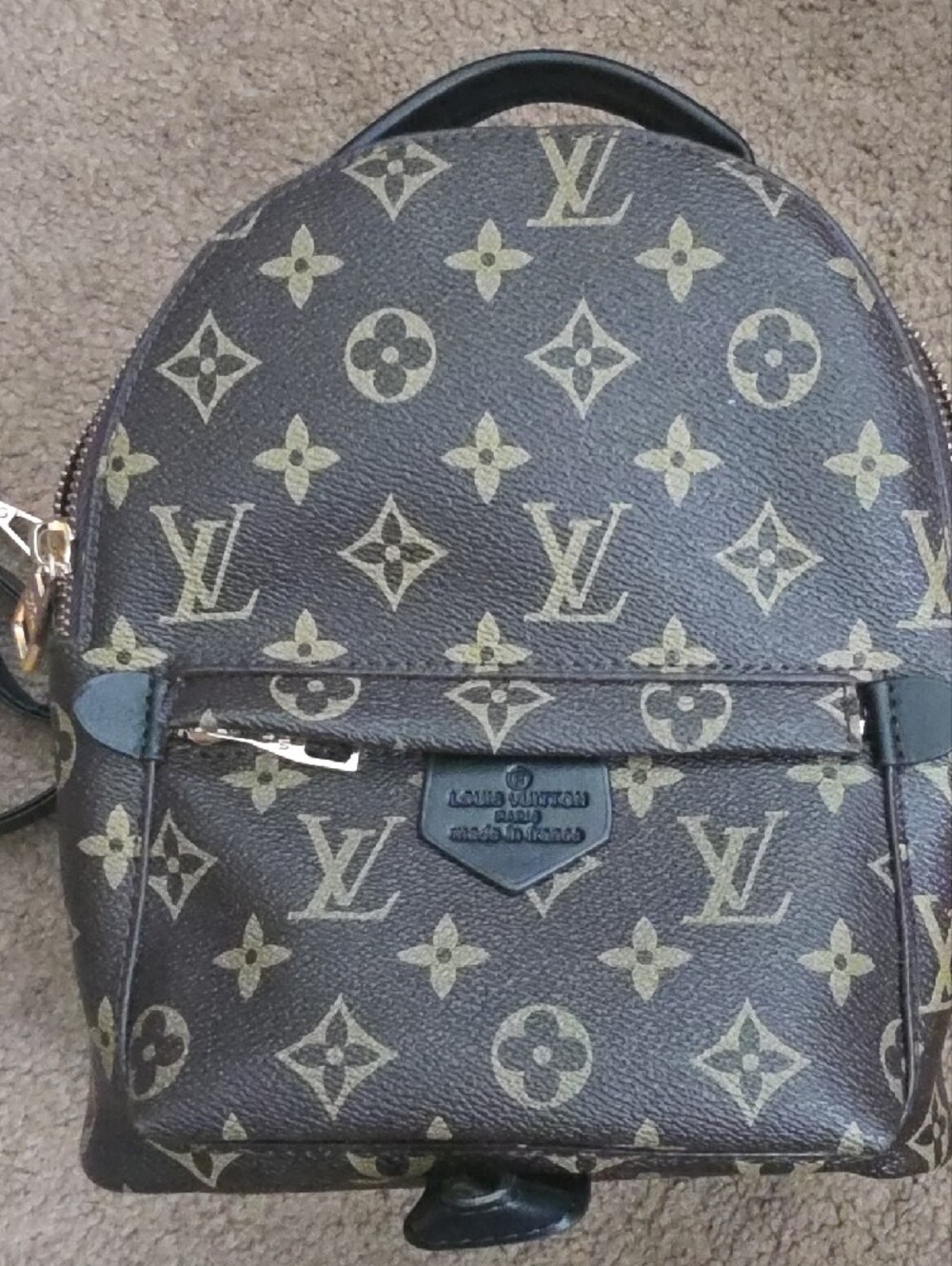 Mini Backpack with Gold Hardware - Picture 2 of 8